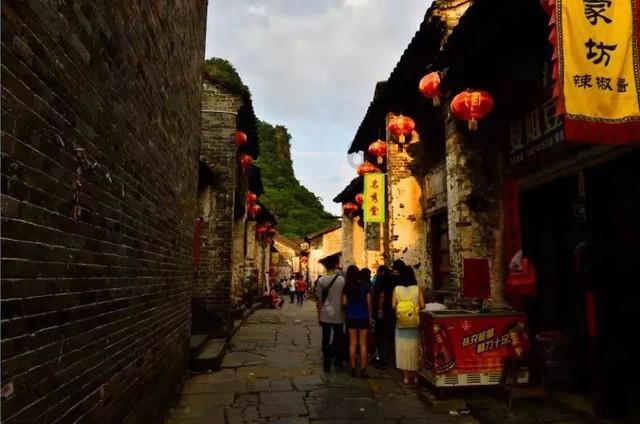 小长颈鹿逃离